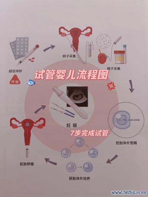 丹东试管婴儿助孕服务联系方式查询 丹东试管婴儿助孕服务联系方式查询