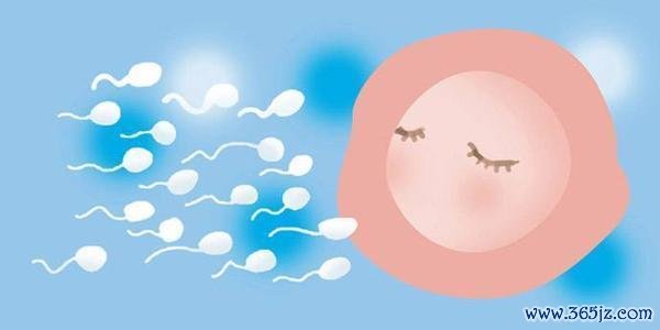 丹东试管婴儿助孕机构信息查询