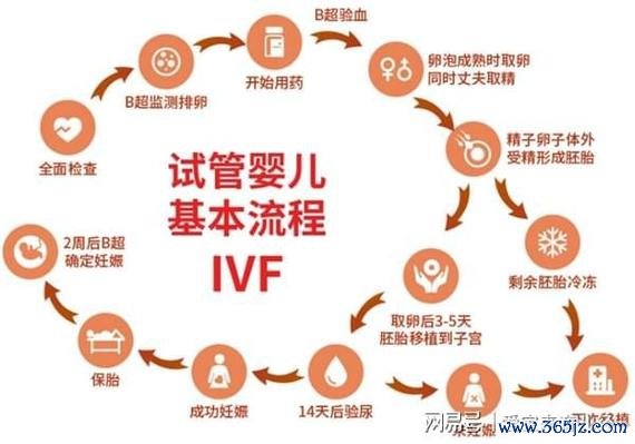 丹东试管婴儿助孕机构推荐丹东专业助孕中心